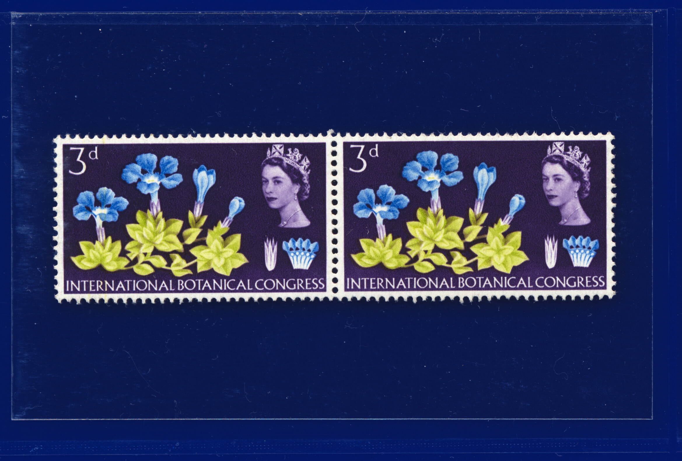 1964 SG655-658 3d-1s3d Botanical, Blks/Strips/Prs/Sets, Your Choice kabq - Picture 5 of 66