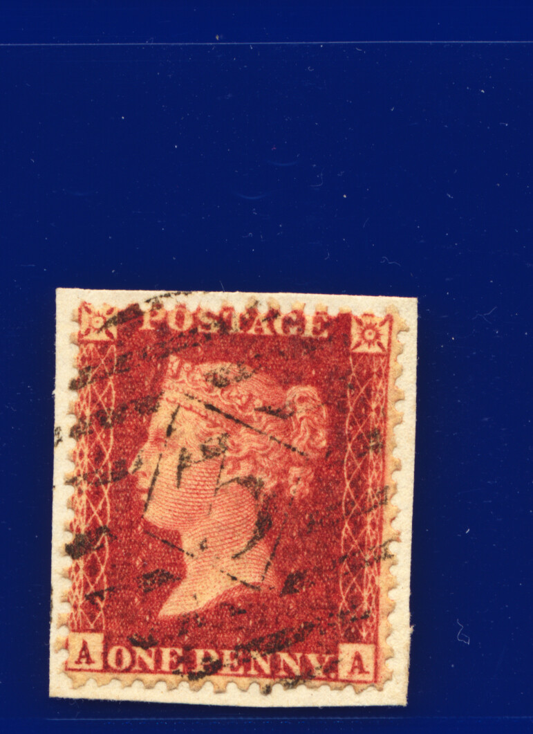 Picture 4 of 336
