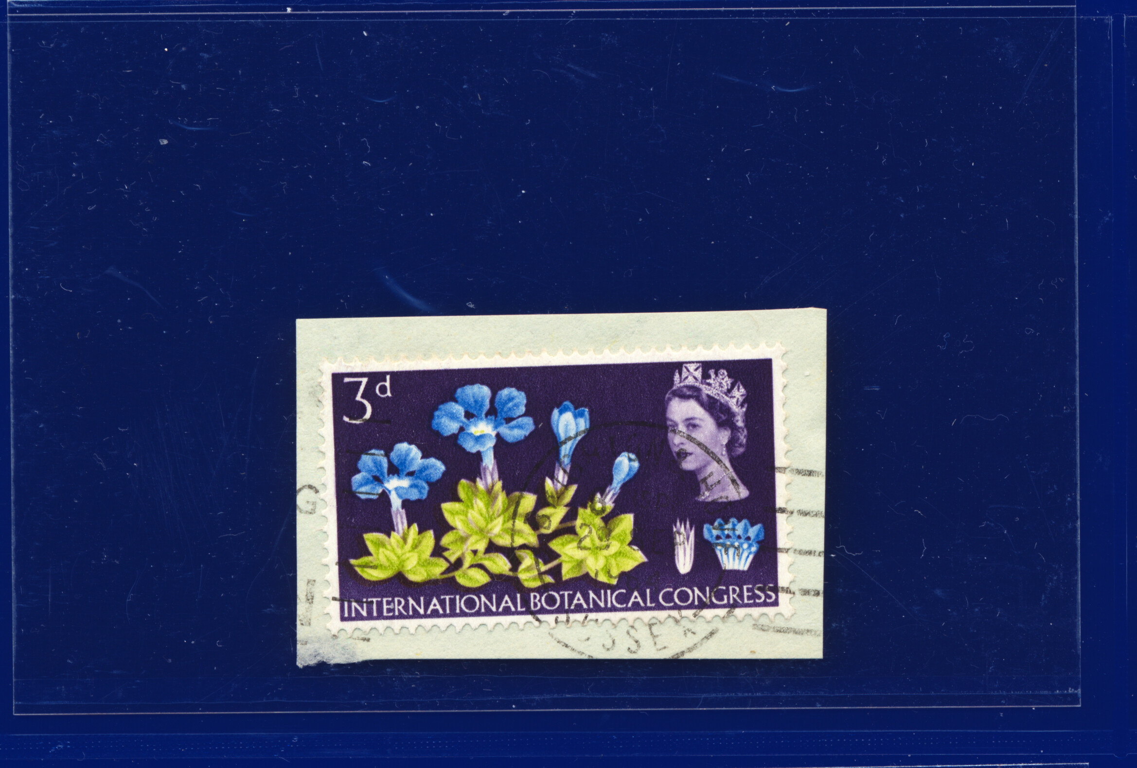 1964 SG655-658 3d-1s3d Botanical, Blks/Strips/Prs/Sets, Your Choice kabq - Picture 9 of 66