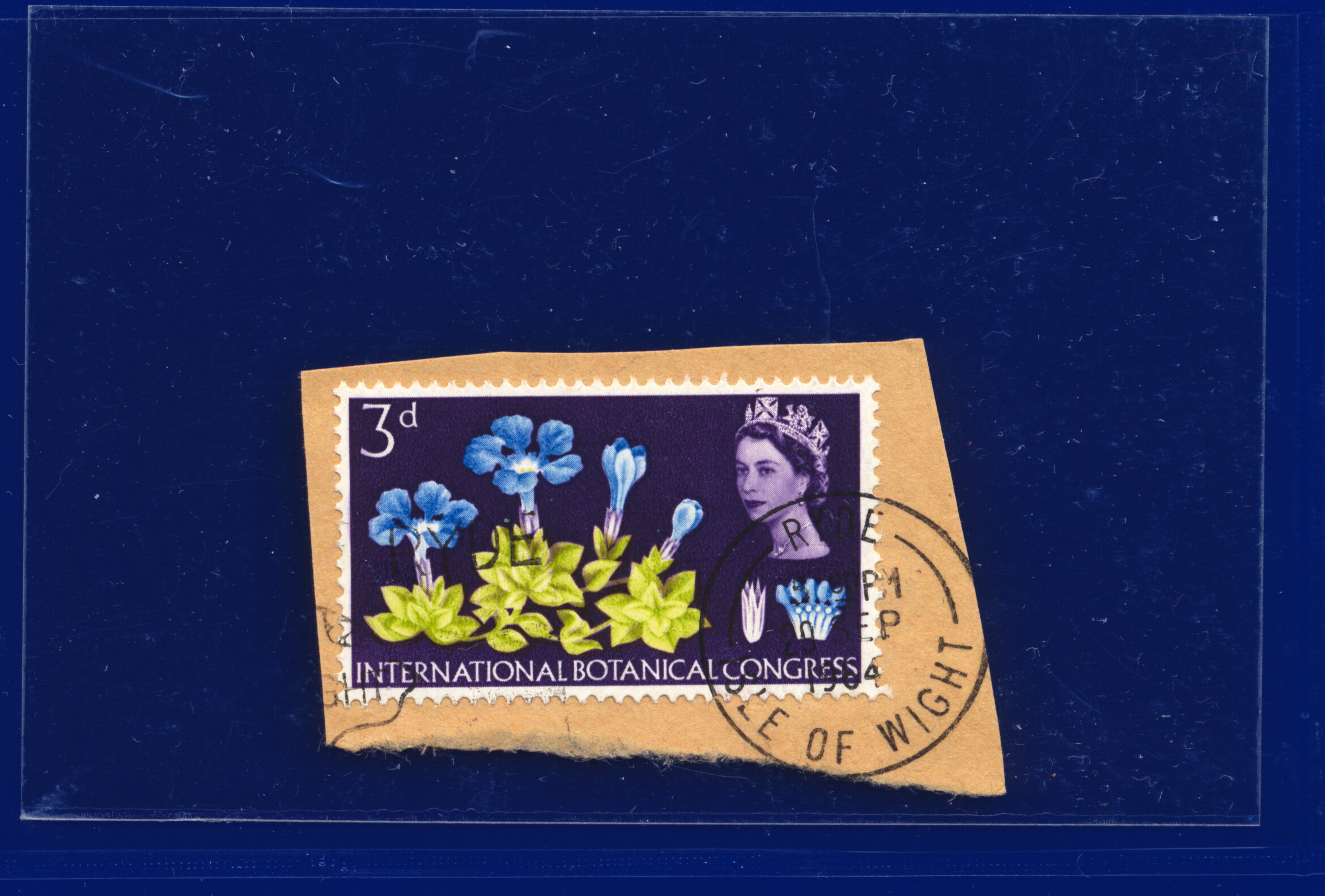 1964 SG655-658 3d-1s3d Botanical, Blks/Strips/Prs/Sets, Your Choice kabq - Picture 15 of 66